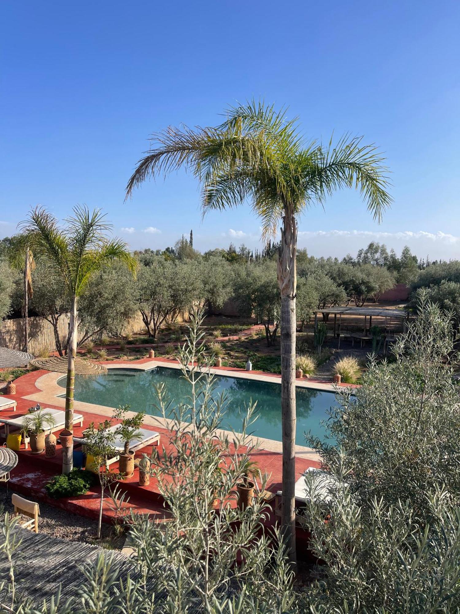 מרקש Villa Chez Marie מראה חיצוני תמונה